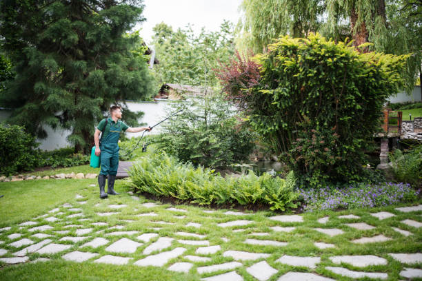Best Local Pest Control Services  in Lynn Haven, FL