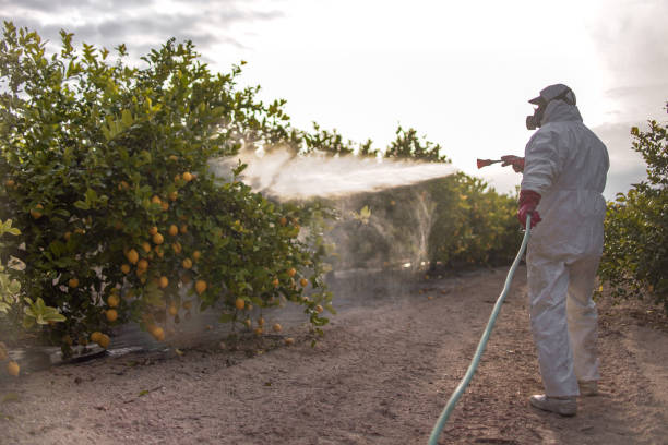 Pest Control Cost in Lynn Haven, FL