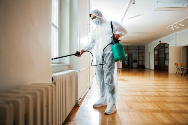 Best Wasp Removal Services  in Lynn Haven, FL