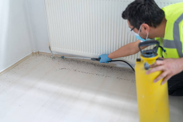 Best Pest Inspection Near Me  in Lynn Haven, FL